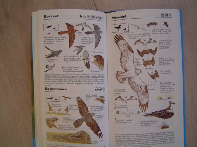 Vogelgids  zakgids vogels, Verzenden, Zo goed als nieuw, Vogels