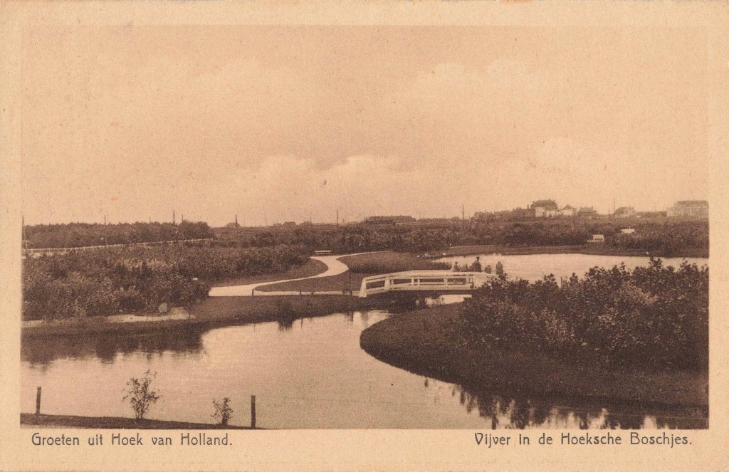 Hoek van Holland Vijver in de Hoeksche Boschjes L3314, Ophalen, 1920 tot 1940, Gelopen, Zuid-Holland