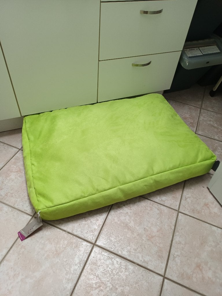 honden kussen of bed, Dieren en Toebehoren, Ophalen of Verzenden, Nieuw, Stof