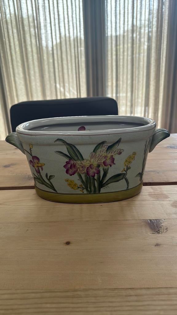 Mooie oude planten bak met irissen, Ophalen of Verzenden