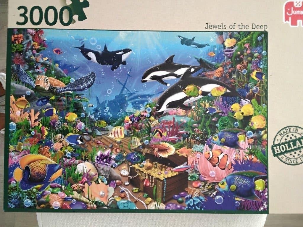 Twee mooie Jumbo puzzels van 3000 stukjes, Ophalen of Verzenden, Meer dan 1500 stukjes, Gebruikt, Legpuzzel