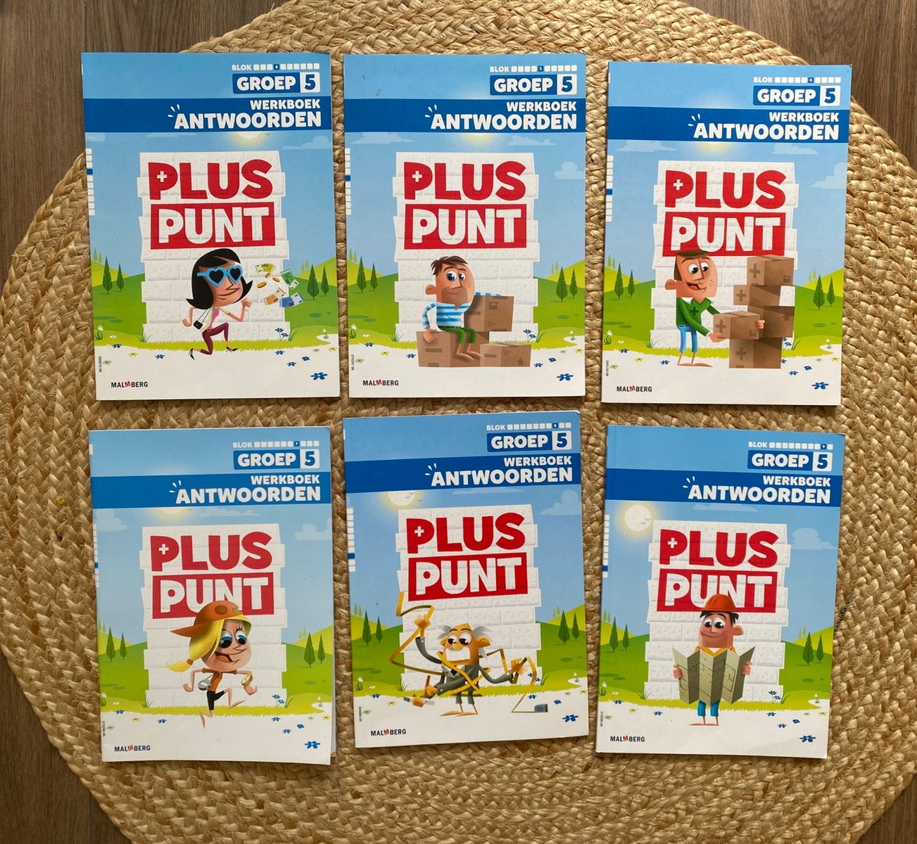 Antwoordenboeken pluspunt groep 5, Boeken, Schoolboeken, Ophalen of Verzenden, Zo goed als nieuw, Overige niveaus