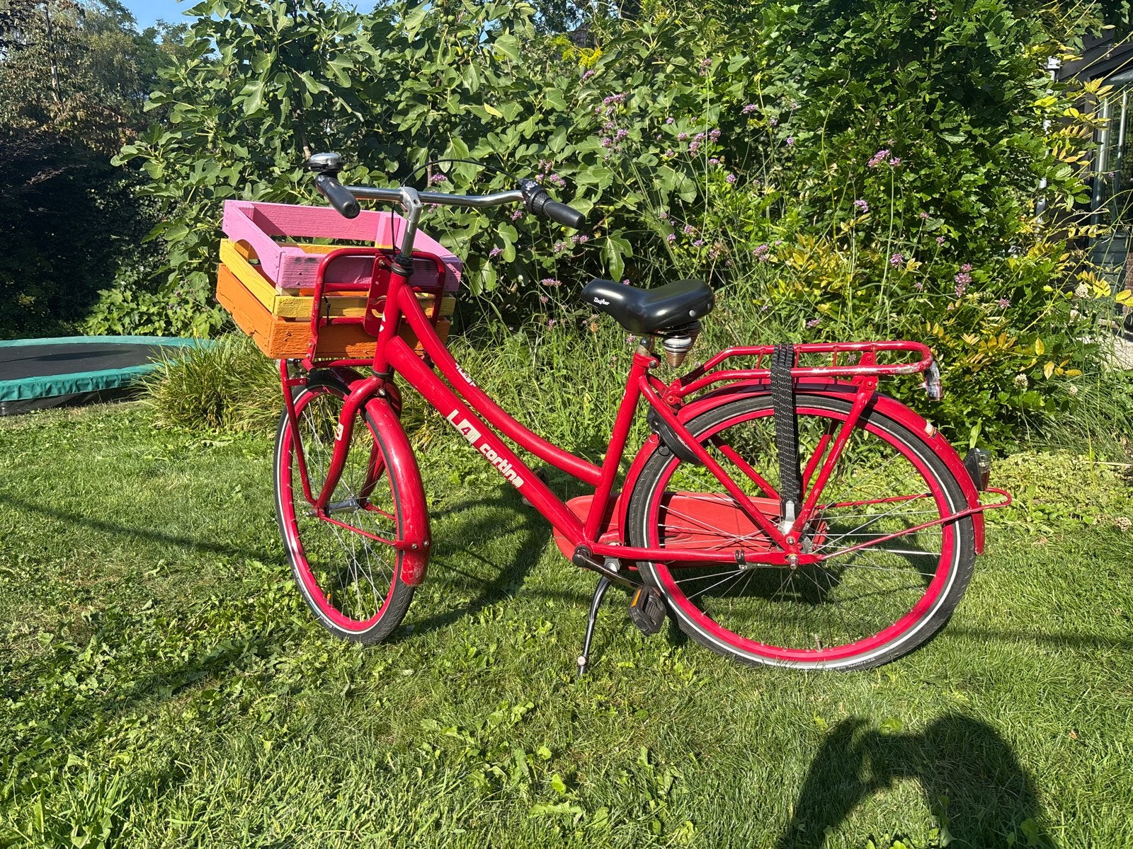 Cortina U4 kinderfiets - Rood met krat - 26 inch, Ophalen, Gebruikt, 26 inch of meer, Versnellingen