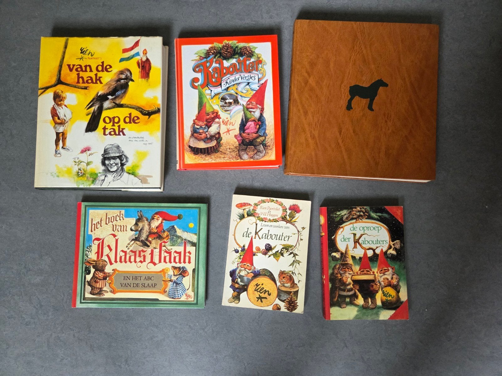 Rien Poortvliet  6 boeken voor € 15.00, Ophalen of Verzenden, Zo goed als nieuw