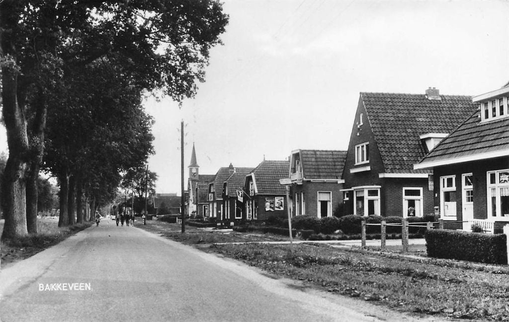 703-027-037 Bakkeveen, Verzenden, Voor 1920, Friesland