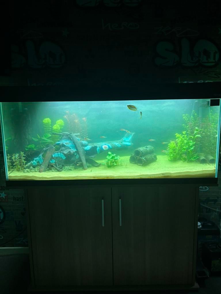Aquarium 240 liter, Dieren en Toebehoren, Ophalen of Verzenden, Zo goed als nieuw, Gevuld zoetwateraquarium, Aquael