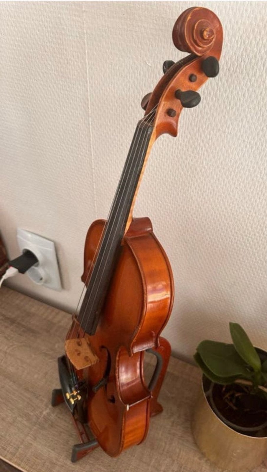 Prachtige 1/2 viool van bekend merk - Ideaal voor beginners, Muziek en Instrumenten, Strijkinstrumenten | Violen en Altviolen
