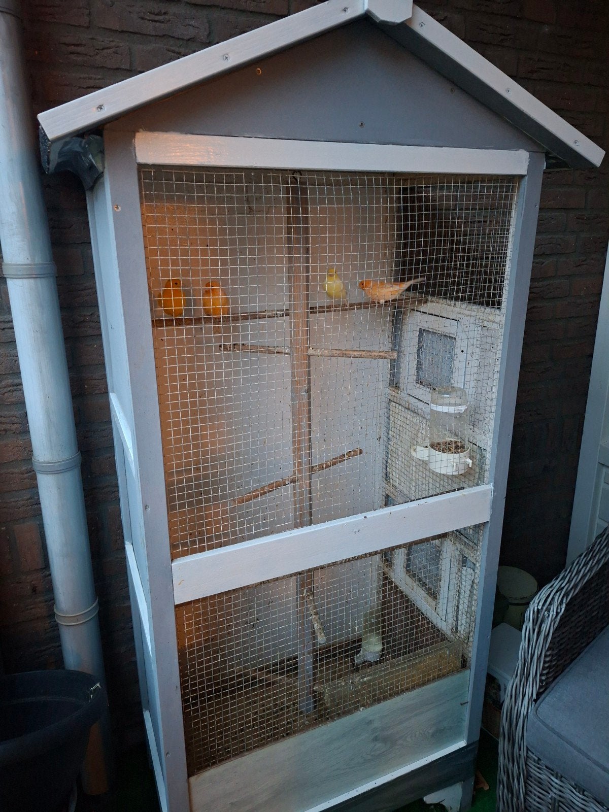 Vogelkooi, Ophalen, Gebruikt, Hout, Vogelkooi