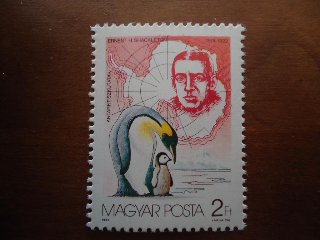 Vogel pinguin Hongarije 1987, mi. 3909 postfris, Ophalen of Verzenden, Postfris, Dier of Natuur