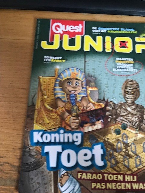 Quest Junior, Ophalen of Verzenden, Nieuw