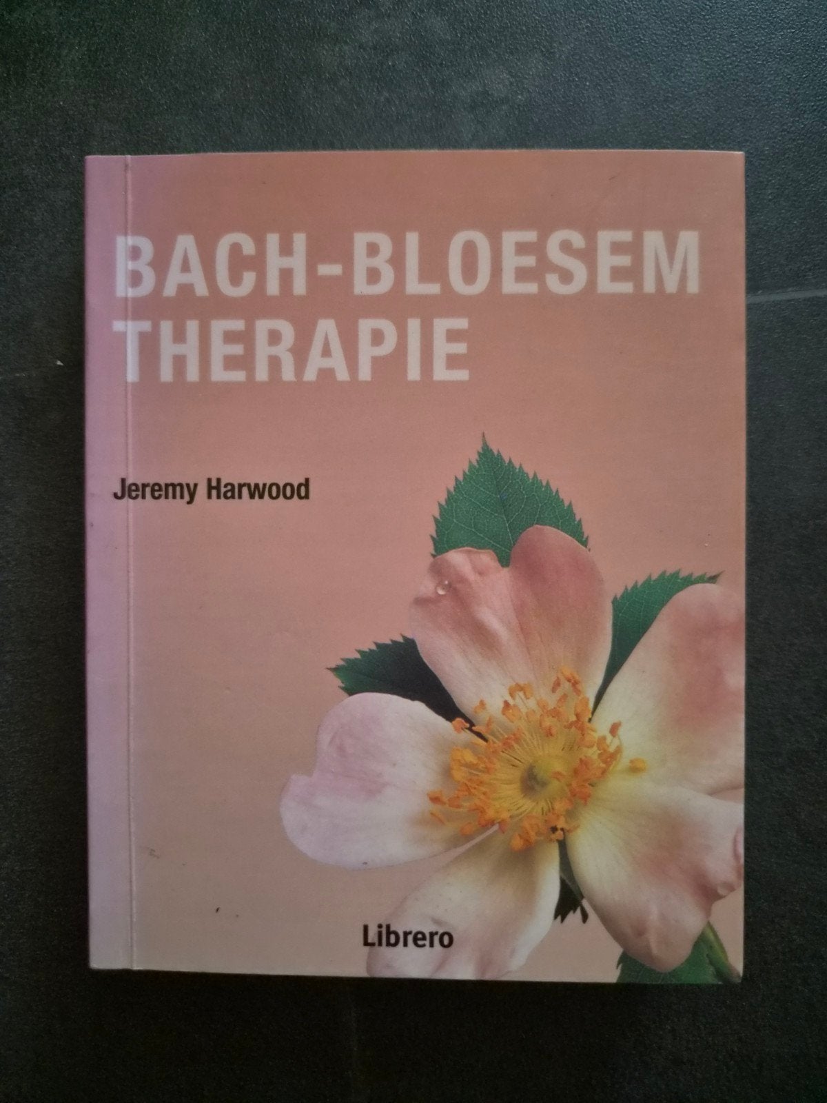Bach-Bloesem Therapie - Genezing van geest, lichaam en ziel, Gelezen, Spiritualiteit algemeen, Ophalen of Verzenden, Instructieboek