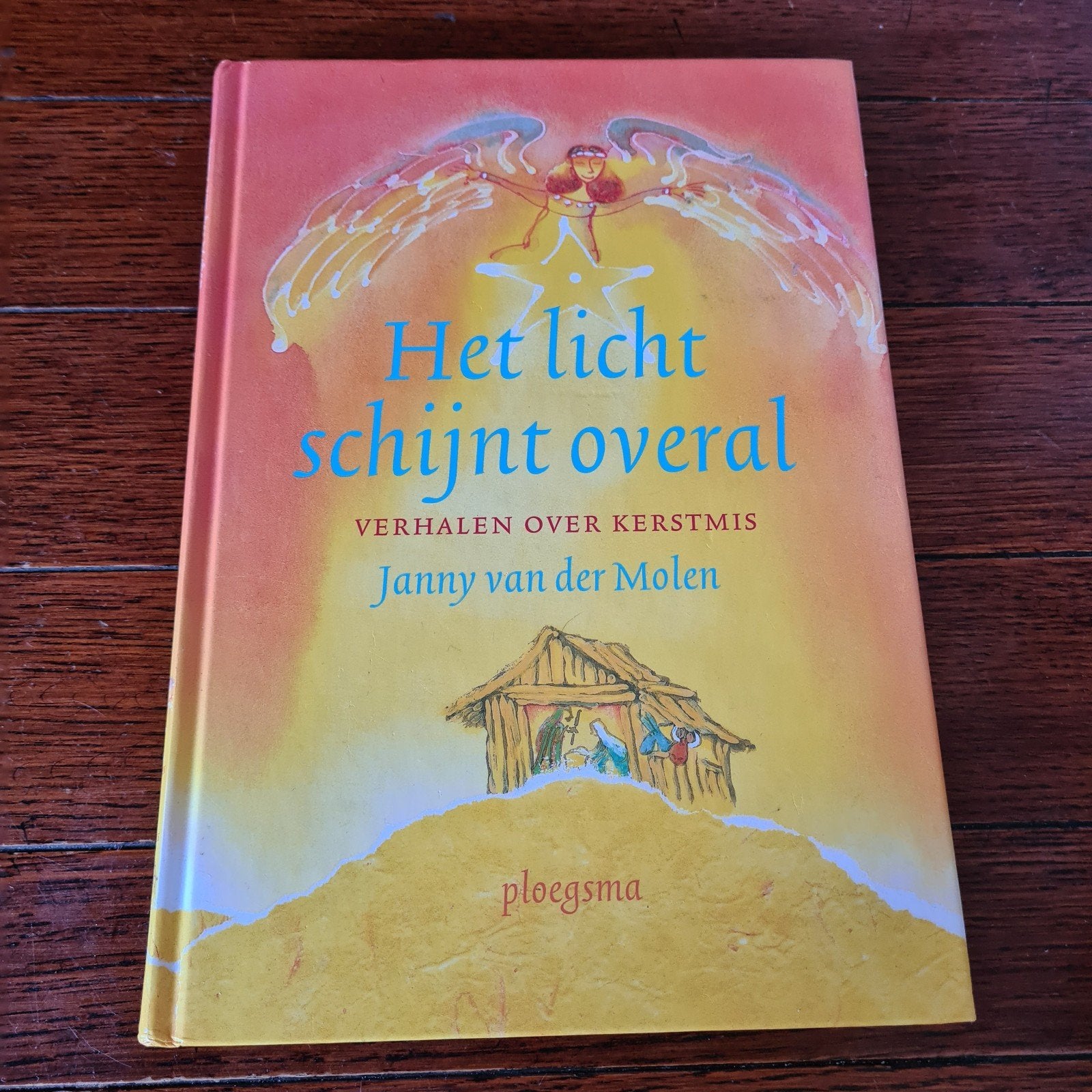 Janny van der Molen - Het licht schijnt overal, Fictie algemeen, Ophalen of Verzenden, Zo goed als nieuw, Janny van der Molen