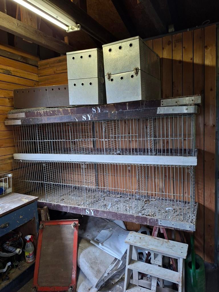 Duiven kooien en manden, Ophalen of Verzenden, Hout, Vogelkooi
