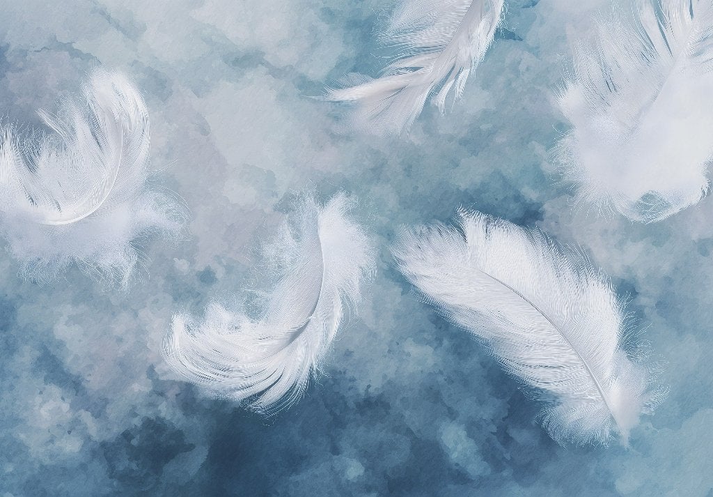 Veren fotobehang Soft Feathers, Kan ook op maat!, Verzenden, Fotobehang