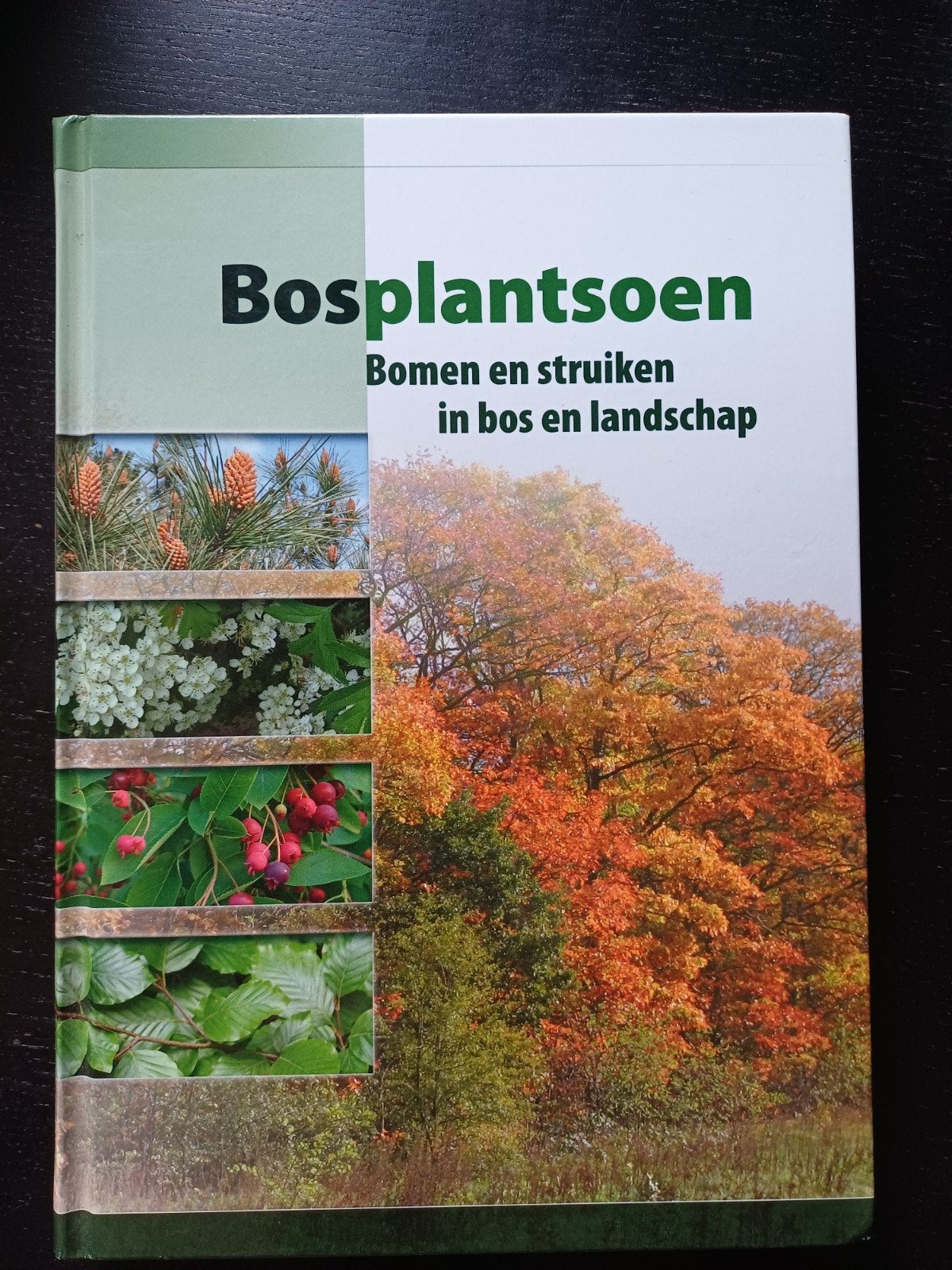 Bosplantsoen, B. Exterkate; Gertom de Beer, Ophalen of Verzenden, Zo goed als nieuw, Interieur en Design