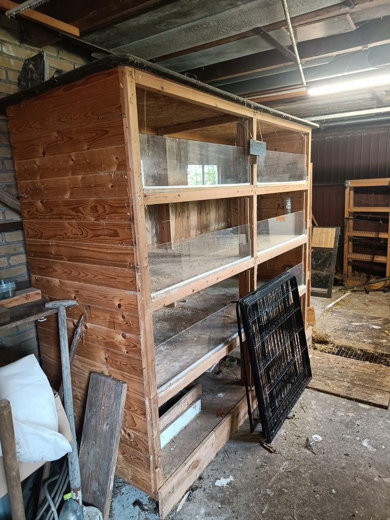 Grote degelijke caviaflat, Dieren en Toebehoren, Ophalen, 90 cm of meer, Hok, Cavia