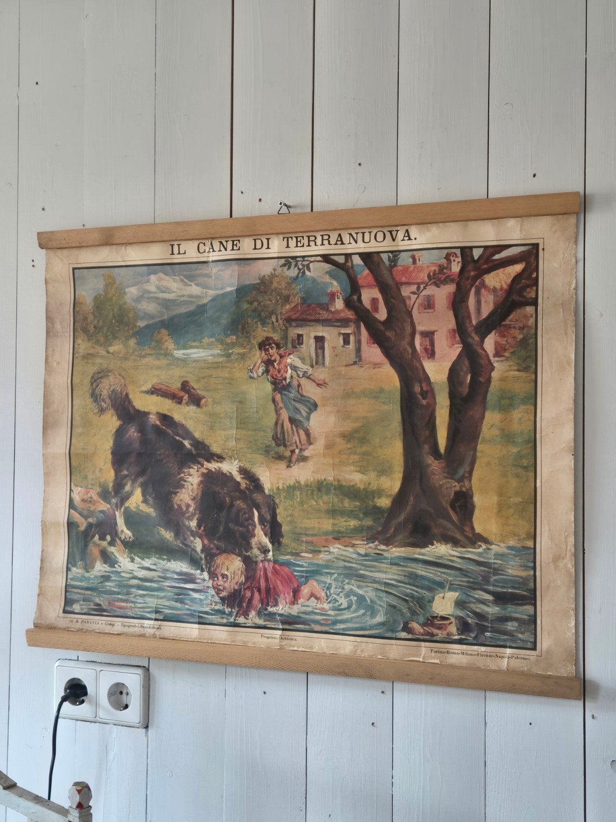 Zeer oude Italiaanse schoolkaart, Ophalen of Verzenden, Natuur en Biologie