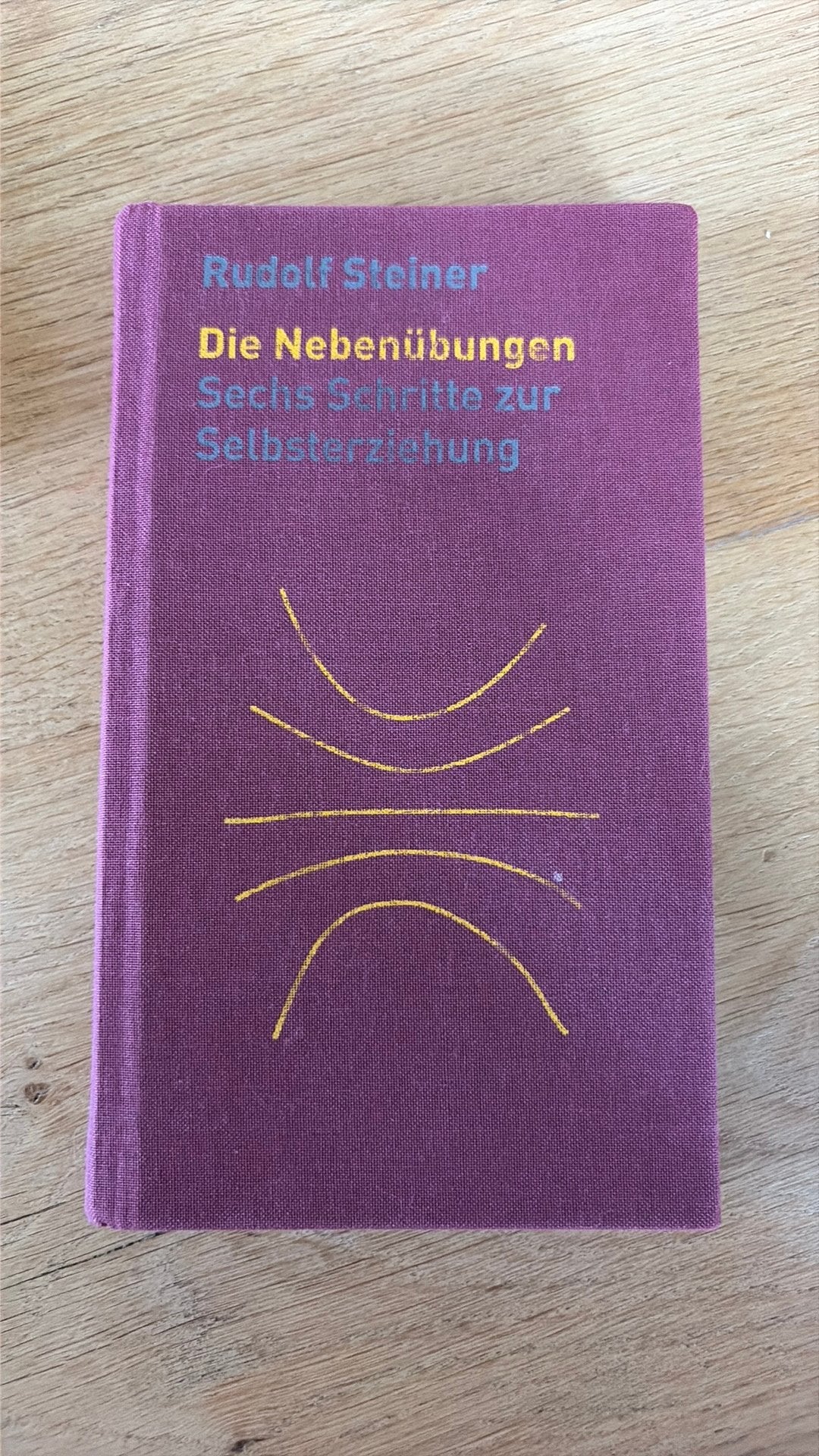 Rudolf Steiner Die Nebenübungen, Ophalen of Verzenden, Nieuw, Spiritualiteit algemeen, Achtergrond en Informatie