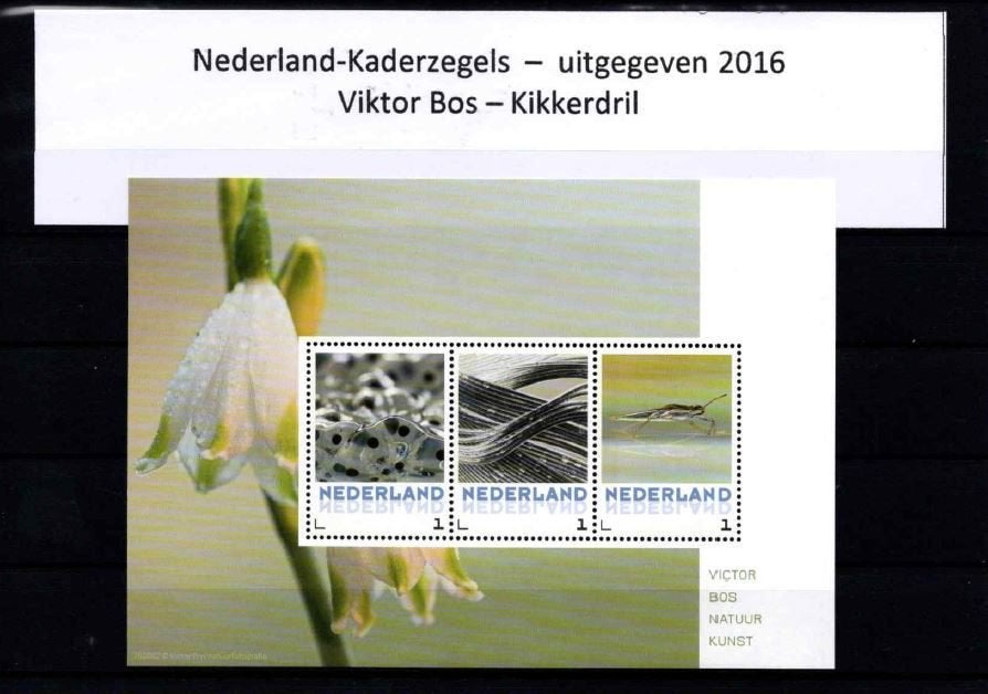 Viktor Bos -  Kikkerdril 2016, Verzenden, Na 1940, Postfris