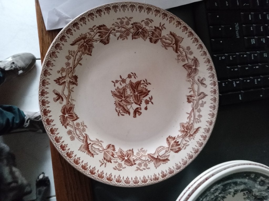 1 dinner bord GERANIUM van societe ceramique bruin, Ophalen of Verzenden