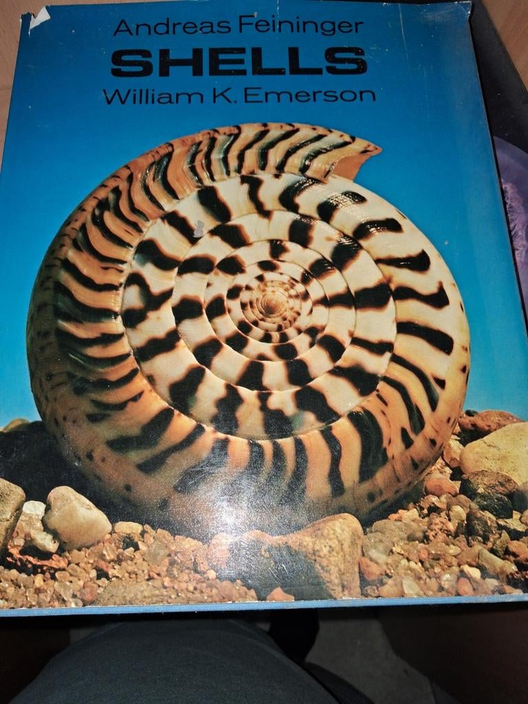 Andreas Feininger SHELLS William K. Emerson Boek, Boeken, Ophalen of Verzenden, Gelezen, Andreas Feininger, William K. Emerson