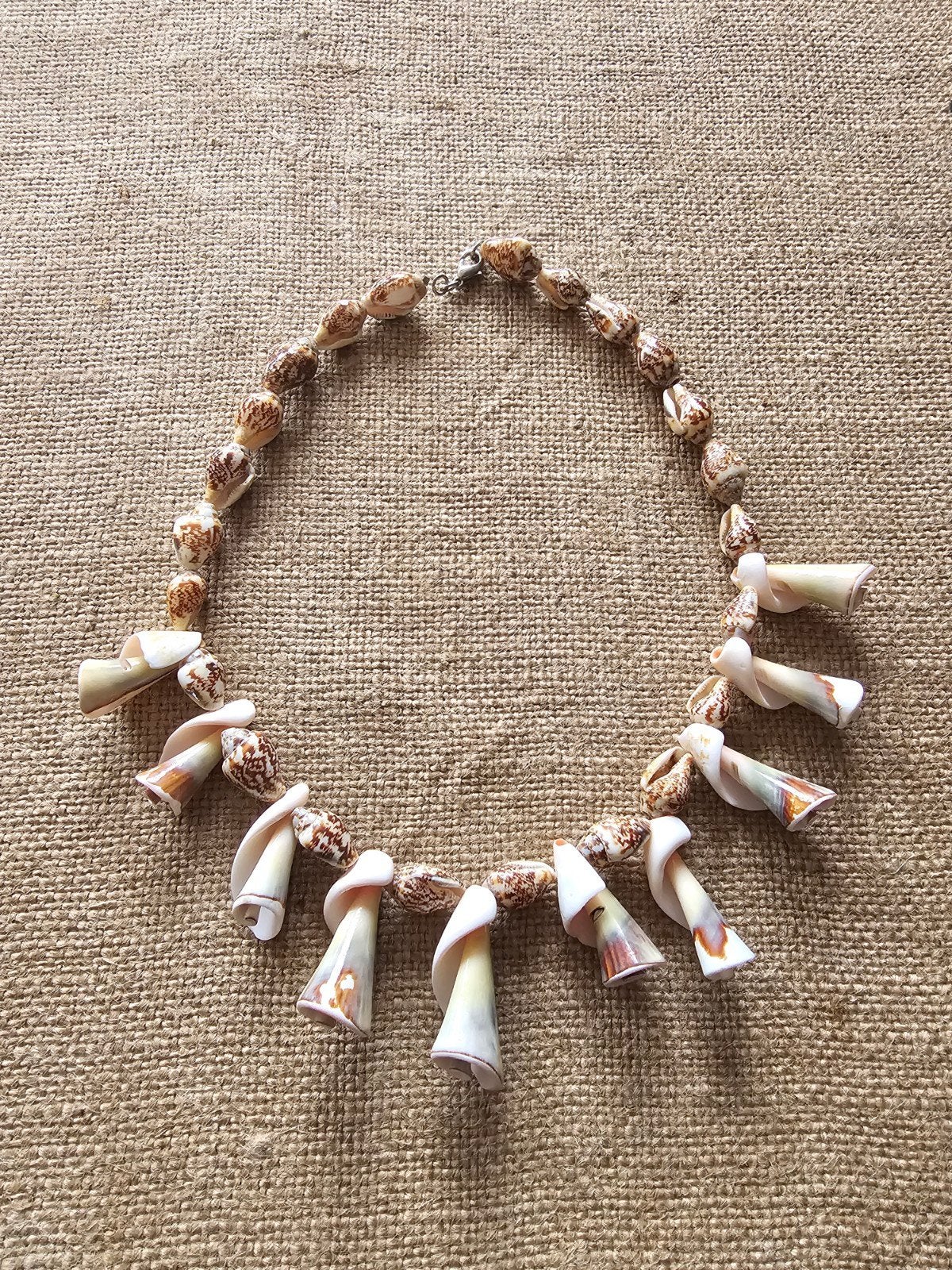 Schelpenketting (40 cm) – Echte schelpen / Boho, Ophalen of Verzenden, Nieuw, Overige materialen