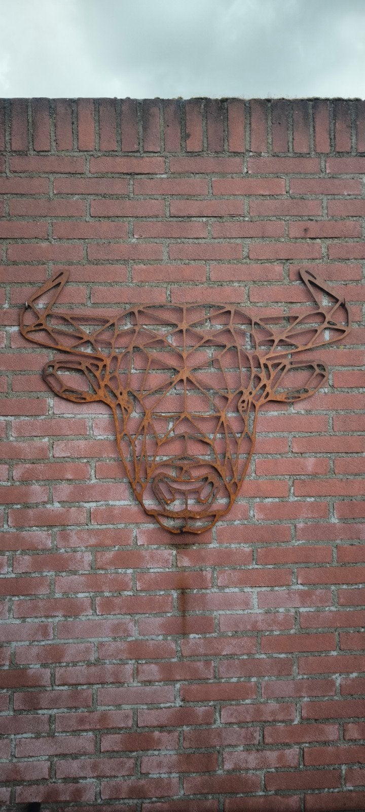 Cortenstalen Stier Wanddecoratie - Uniek Design, Metaal, Wandsculptuur, Industrieel, Nieuw