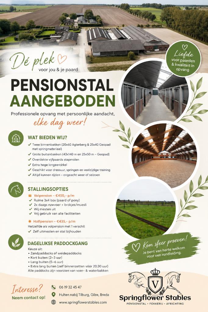 pensionstalling vrij / stalling aangeboden nabij Tilburg, Dieren en Toebehoren, Stalling en Weidegang, Stalling, 4 paarden of pony's of meer