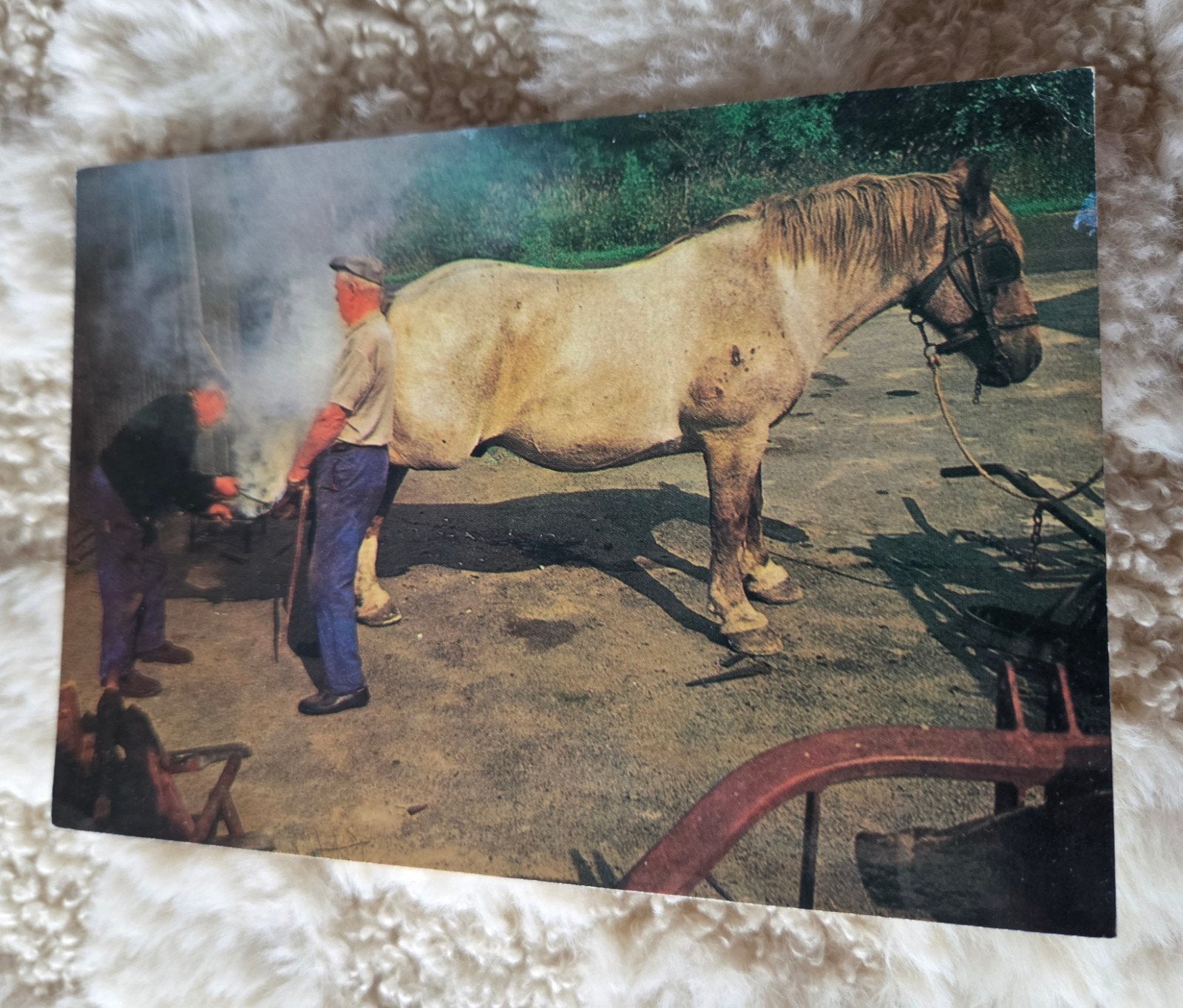 Vintage Ansichtkaart: Hoefsmid aan het werk met paard, Verzenden, 1980 tot heden, Gelopen, Paard