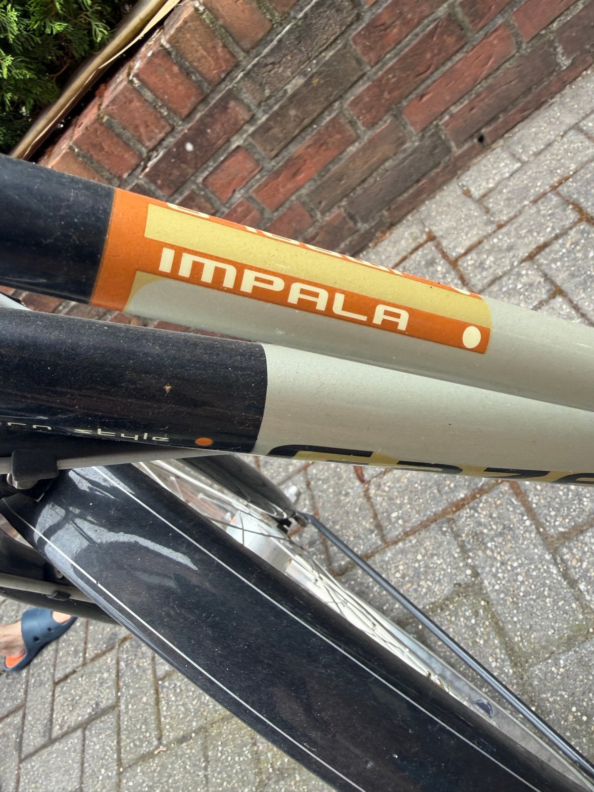 gazelle Impala Damesfiets met Mand en Bagagedrager, Gebruikt, Velgrem, Versnellingen, 50 tot 53 cm