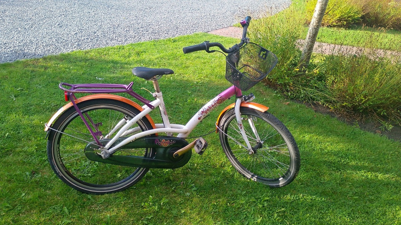 Batavus fiets, Ophalen, Terugtraprem, Gebruikt, Versnellingen