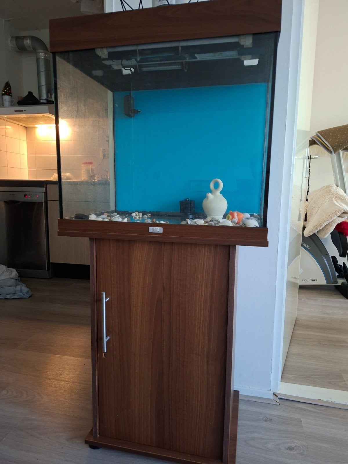 Vis Aquarium kast, Ophalen of Verzenden