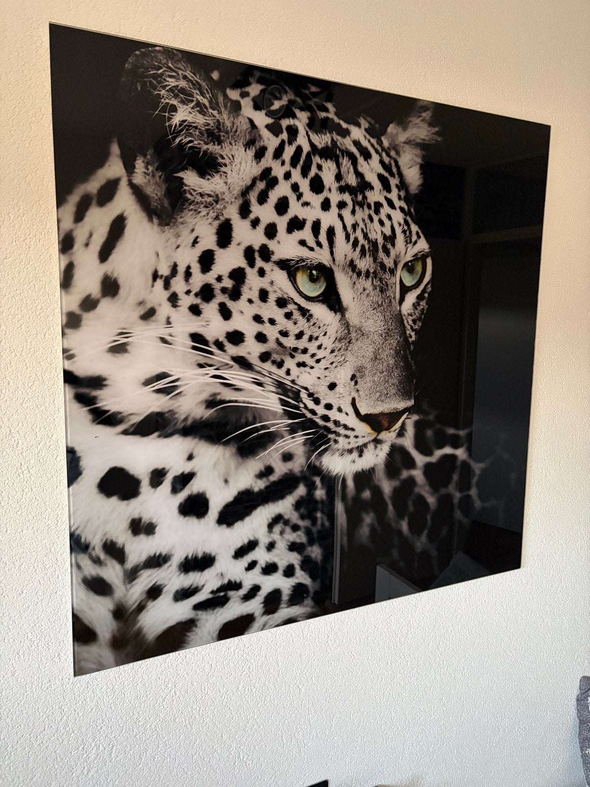 Prachtige luipaard print op glas - blikvanger voor elk inter, Huis en Inrichting, Ophalen, Nieuw, Print, 75 tot 100 cm