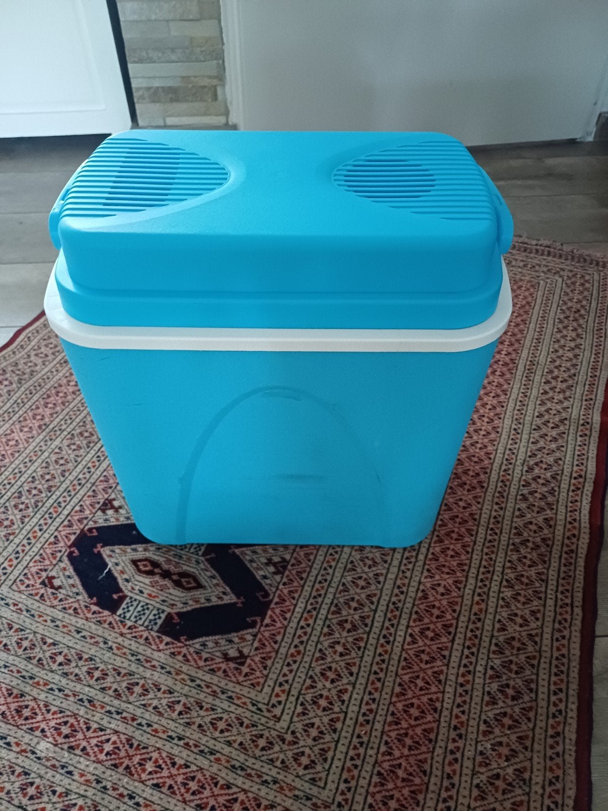 Koelbox auto - werkt goed, Ophalen of Verzenden, Gebruikt, Koelbox, Elektrisch