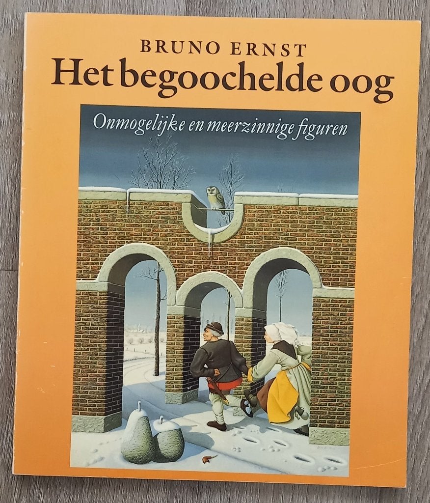 Het begoochelde oog: Onmogelijke en meerzinnige figuren, Boeken, Ophalen of Verzenden, Gelezen