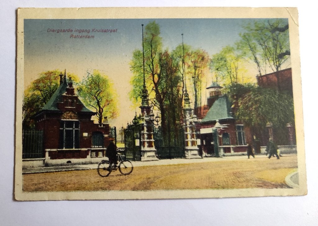 ROTTERDAM  Diergaarde ingang Kruisstraat 1926, Ophalen of Verzenden, 1920 tot 1940, Gelopen, Zuid-Holland