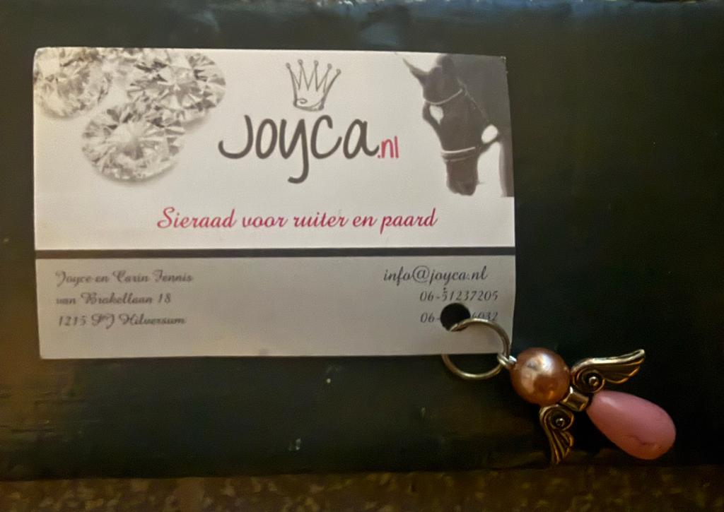 Te koop Paardensierraad / gelukshanger  van Joyca, Ophalen of Verzenden, Nieuw
