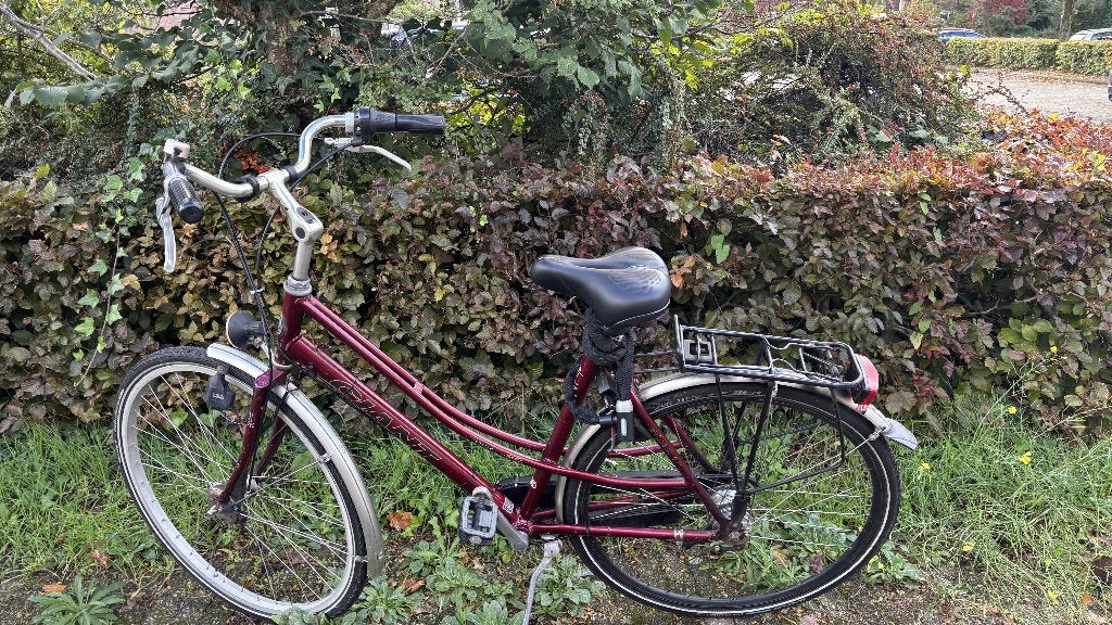 Giant city bike from second hand shop, Ophalen, Gebruikt, Velgrem, Versnellingen