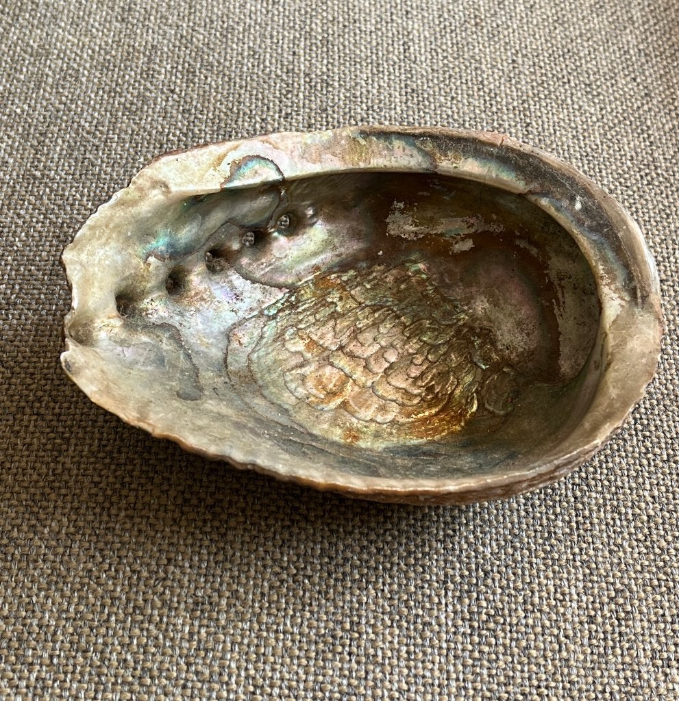 Abalone schelp, Verzamelen, Mineralen en Fossielen, Schelp(en), Ophalen of Verzenden
