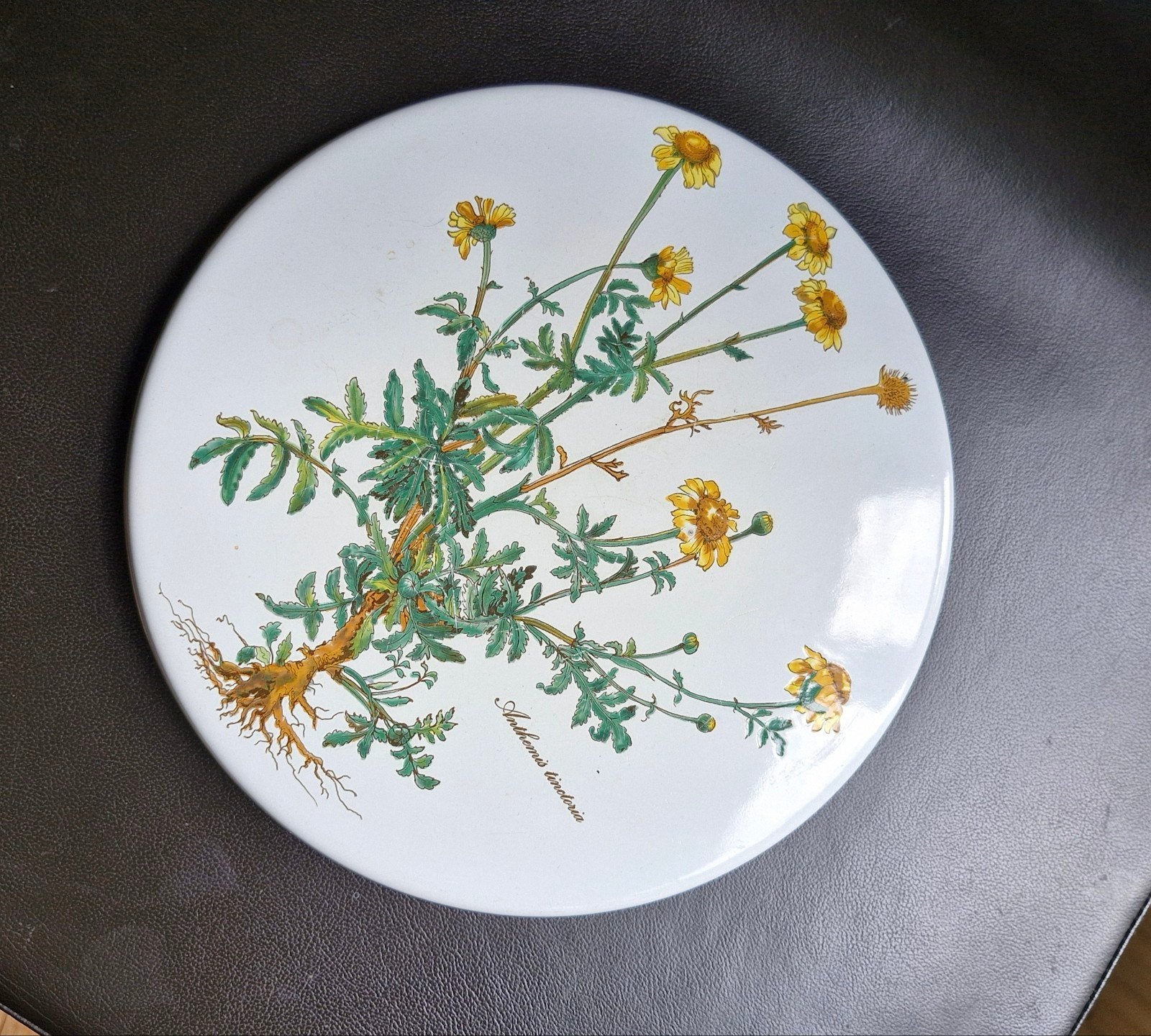 Onderzetter Villeroy en Boch Botanica, Ophalen of Verzenden, Glas of Kopje