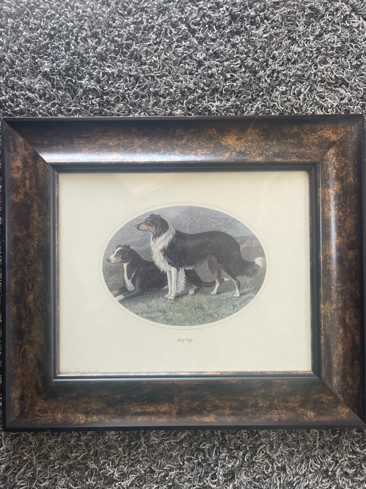 Ingelijste print van herdershonden - 'Sheep Dog', Minder dan 50 cm, Gebruikt, Ophalen of Verzenden, Print