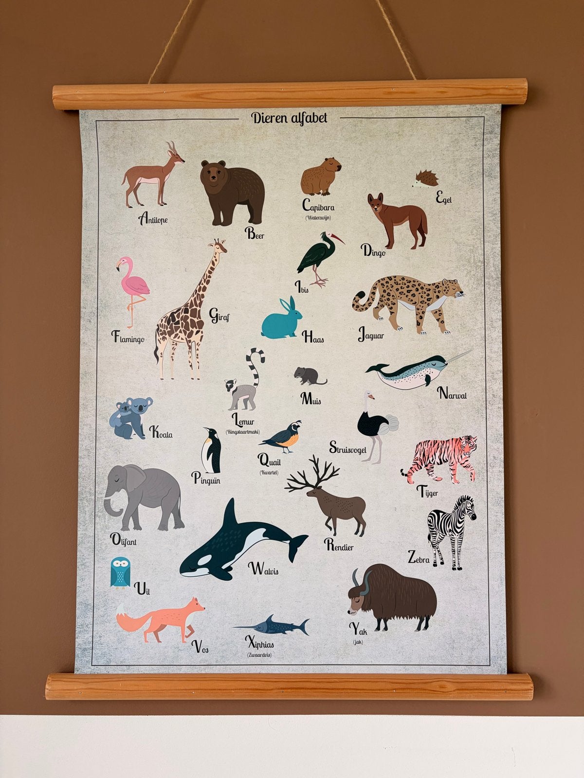 Dubbelzijdige Dieren/Alfabet poster, Ophalen of Verzenden, Zo goed als nieuw