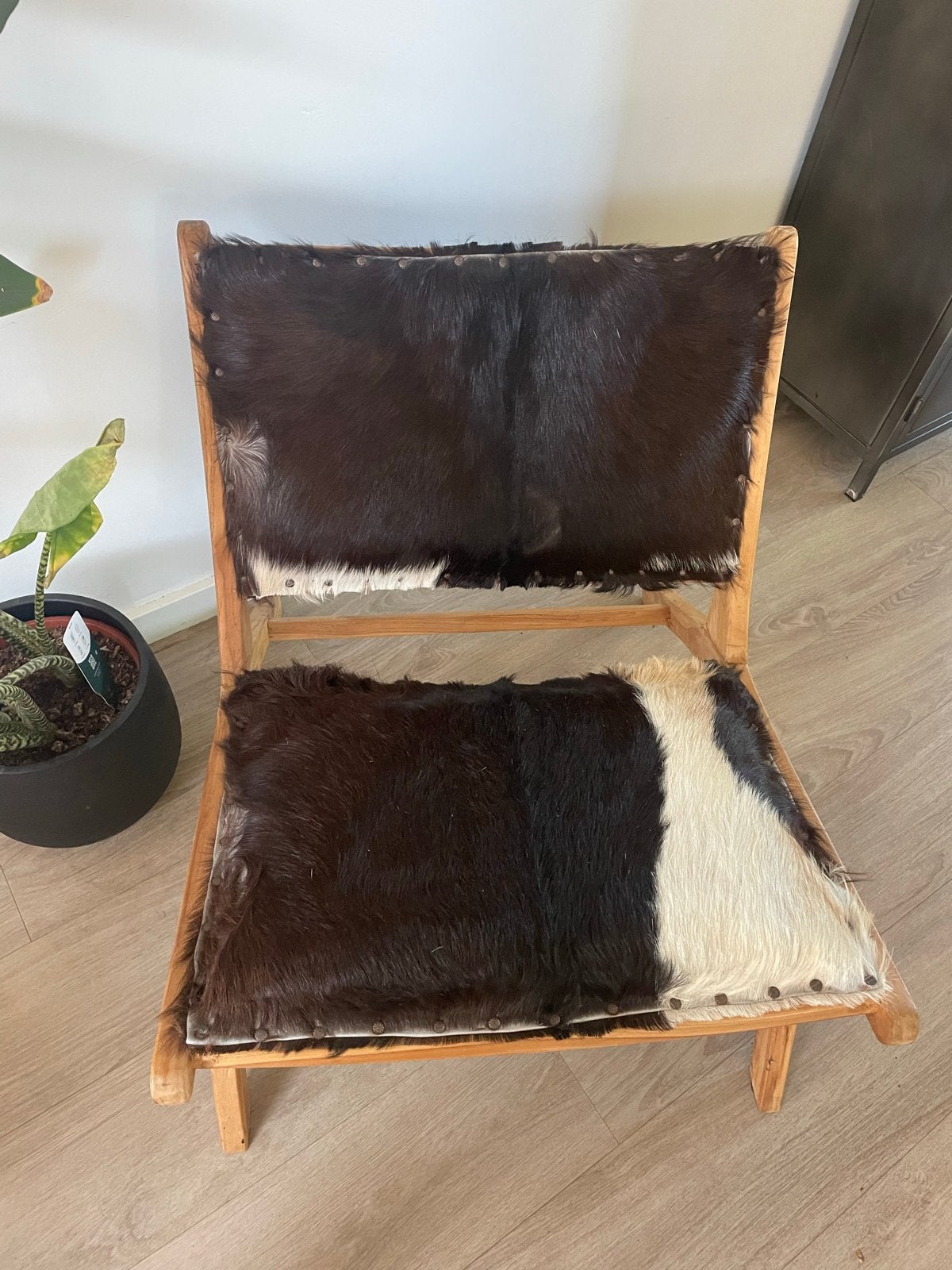 Set van 2 Koeienhuid Stoelen - Sierstoelen met Koeienprint, Gebruikt, Twee, Bruin, Ophalen of Verzenden