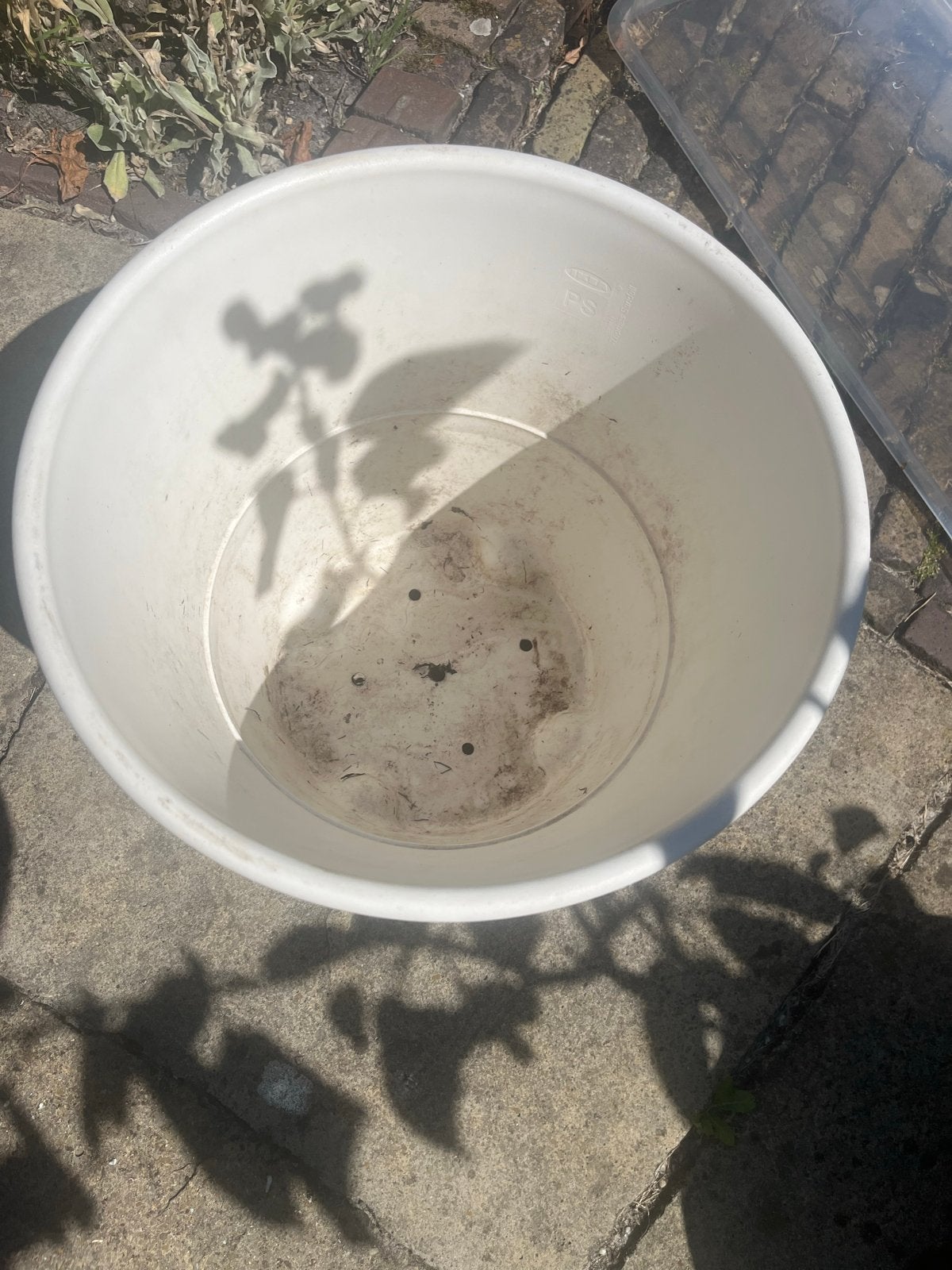 Witte plantenpot op wieltjes - Gebruikt, Ophalen, Kunststof, Gebruikt, 40 cm of meer