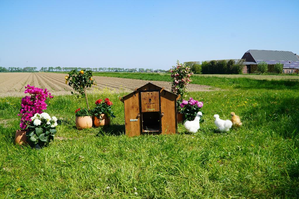 Trespa Kippenhok Cucciolotta | Mignon, Dieren en Toebehoren, Pluimvee | Toebehoren, Ophalen of Verzenden, Nieuw, Kippenhok of Kippenren