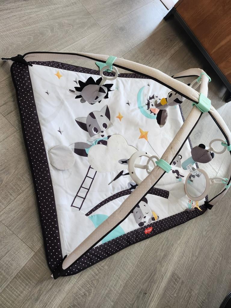 Speelkleed Tiny Love, Ophalen