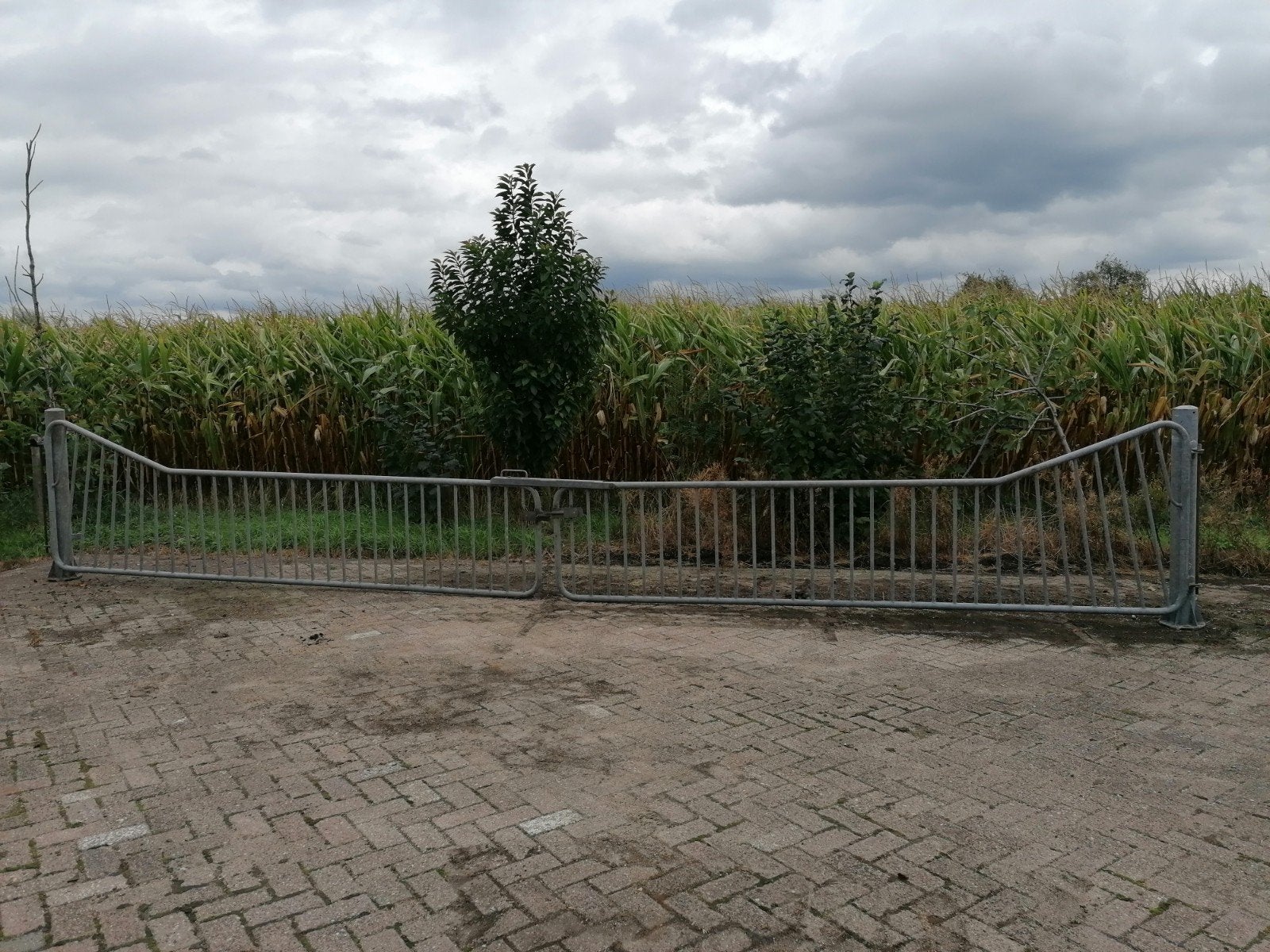 Robuust ijzeren poort gegalvaniseerd, Ophalen, Met poort, Gebruikt, Spijlenhekwerk