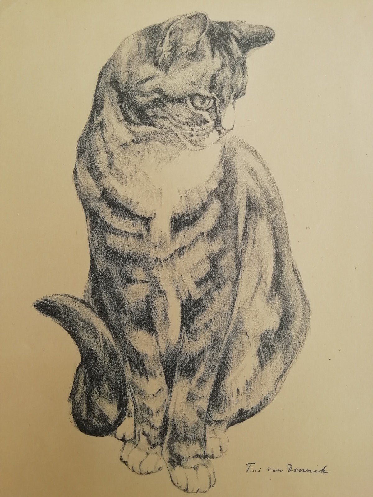 Vintage Tekening Kat door Tini van Doornik - Gesigneerd, Ophalen of Verzenden, Tekening, Potloodtekening, Ingelijst