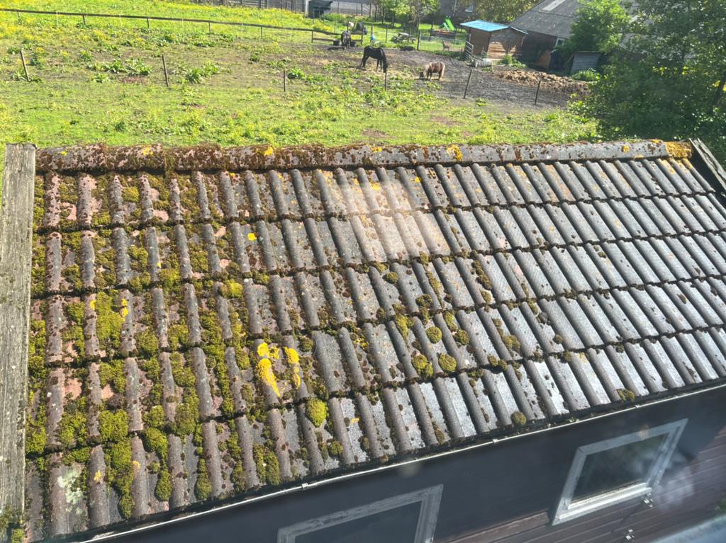 Pannendak schuurtje GRATIS 20m2, Doe-het-zelf en Verbouw, Dakpannen en Dakbedekking, Ophalen, Gebruikt, Steen of Klei, 15 m² of meer