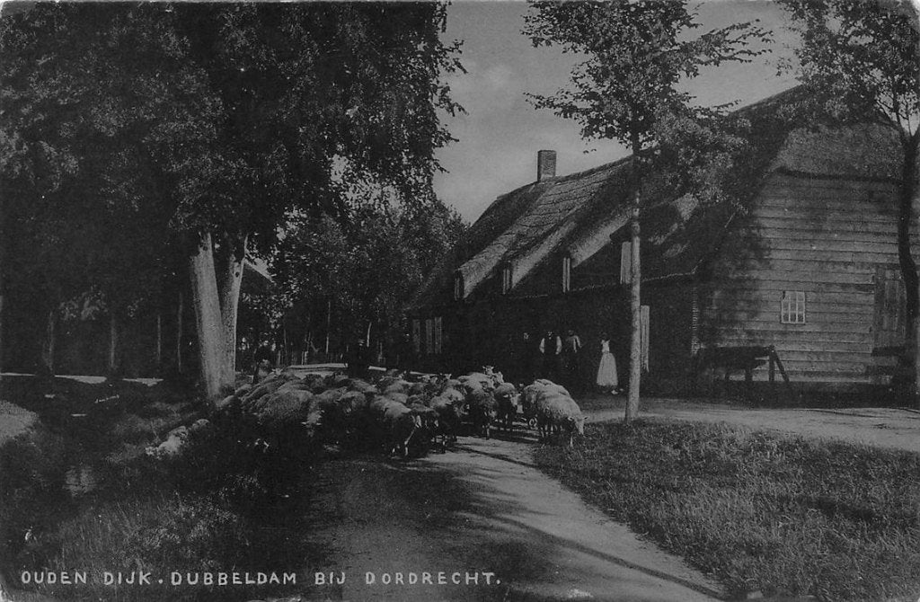 702-208-039 Ouden Dijk Dubbeldam Bij Dordrecht, Verzenden, Voor 1920, Zuid-Holland